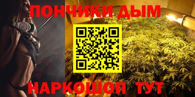 индика Нальчик