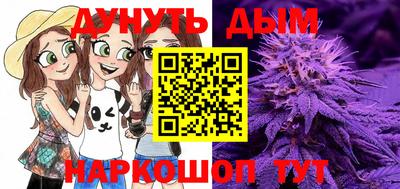 индика Нальчик