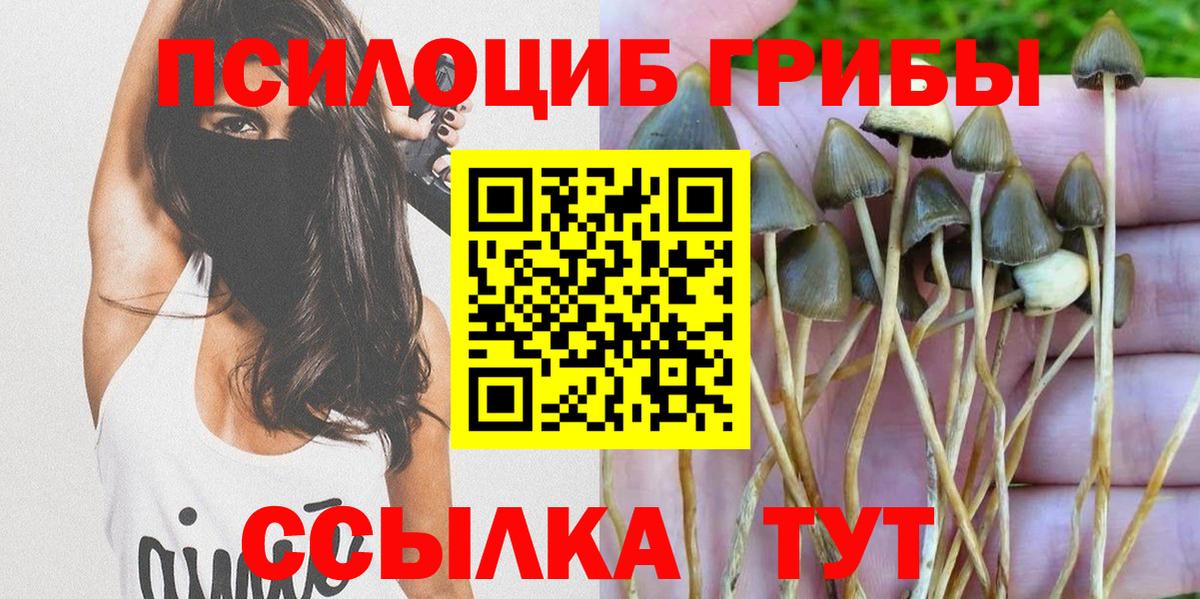 где продают   Псилоцибиновые грибы ЛСД  Вход с VPN  Усолье-Сибирское 